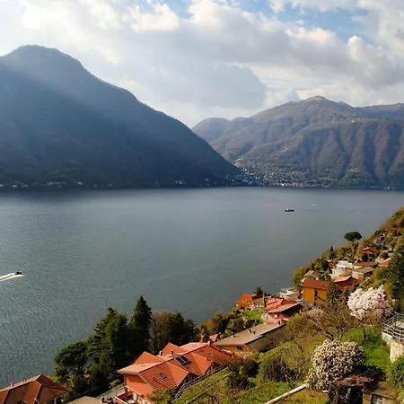 Mosaic - By Myhomeincomo *